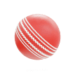 cricket-ball